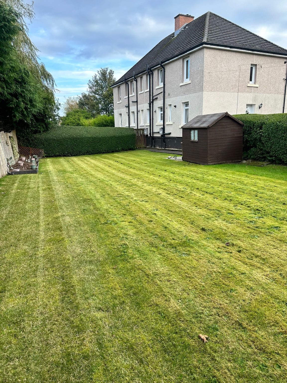 tree care in Glasgow