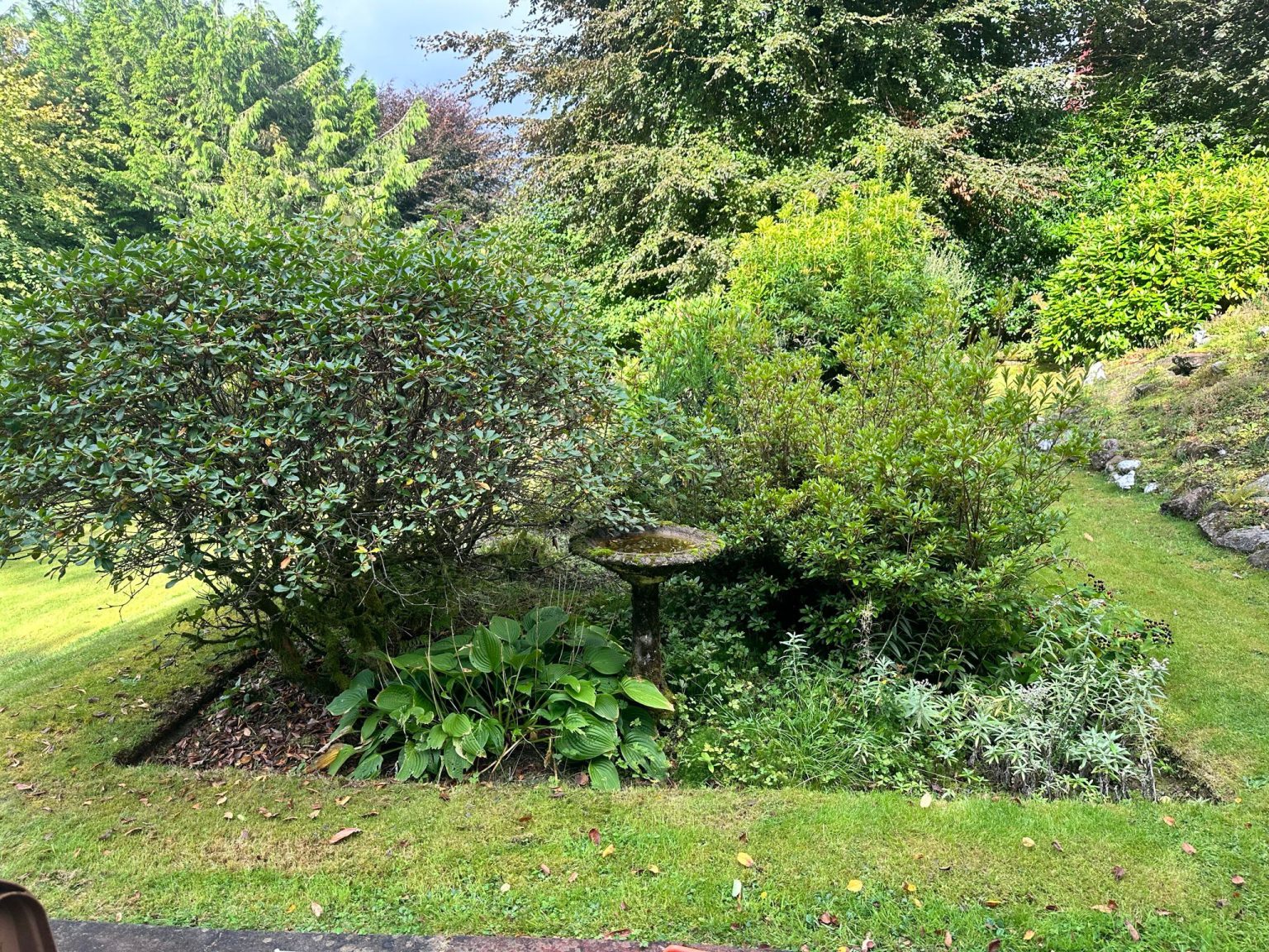 Glasgow garden clearance