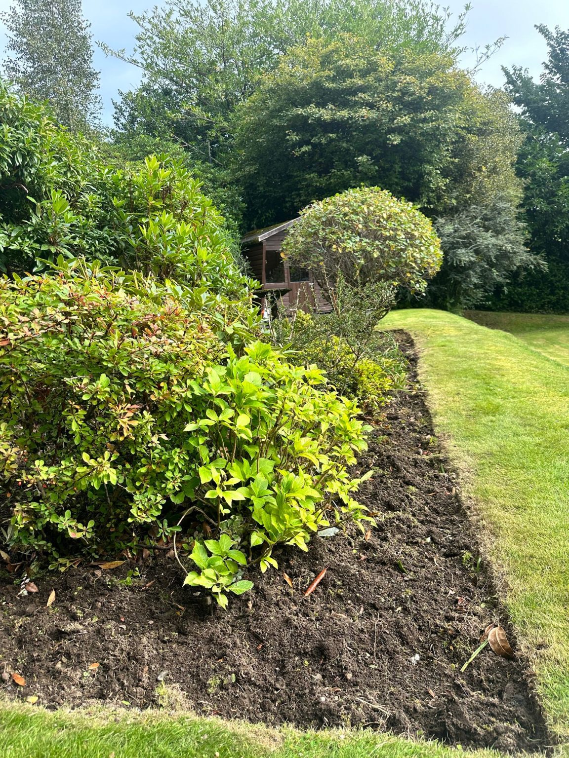 garden clearance Glasgow