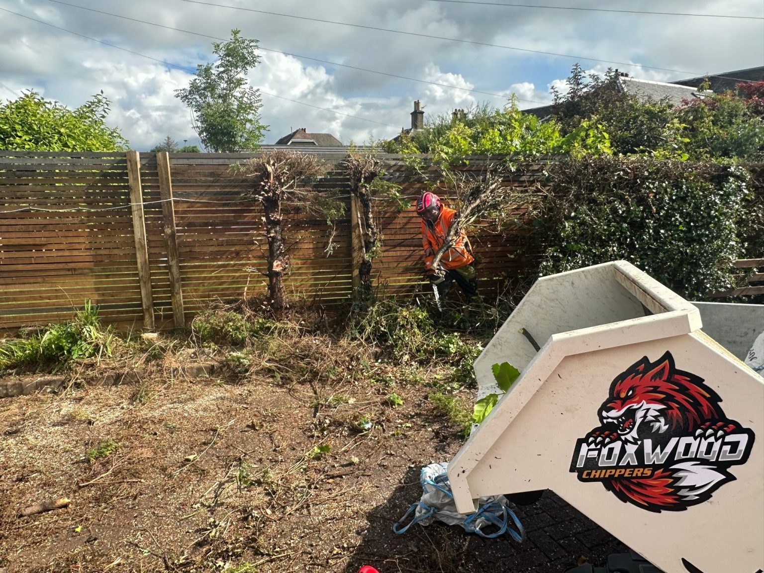 hedge trimming in Glasgow