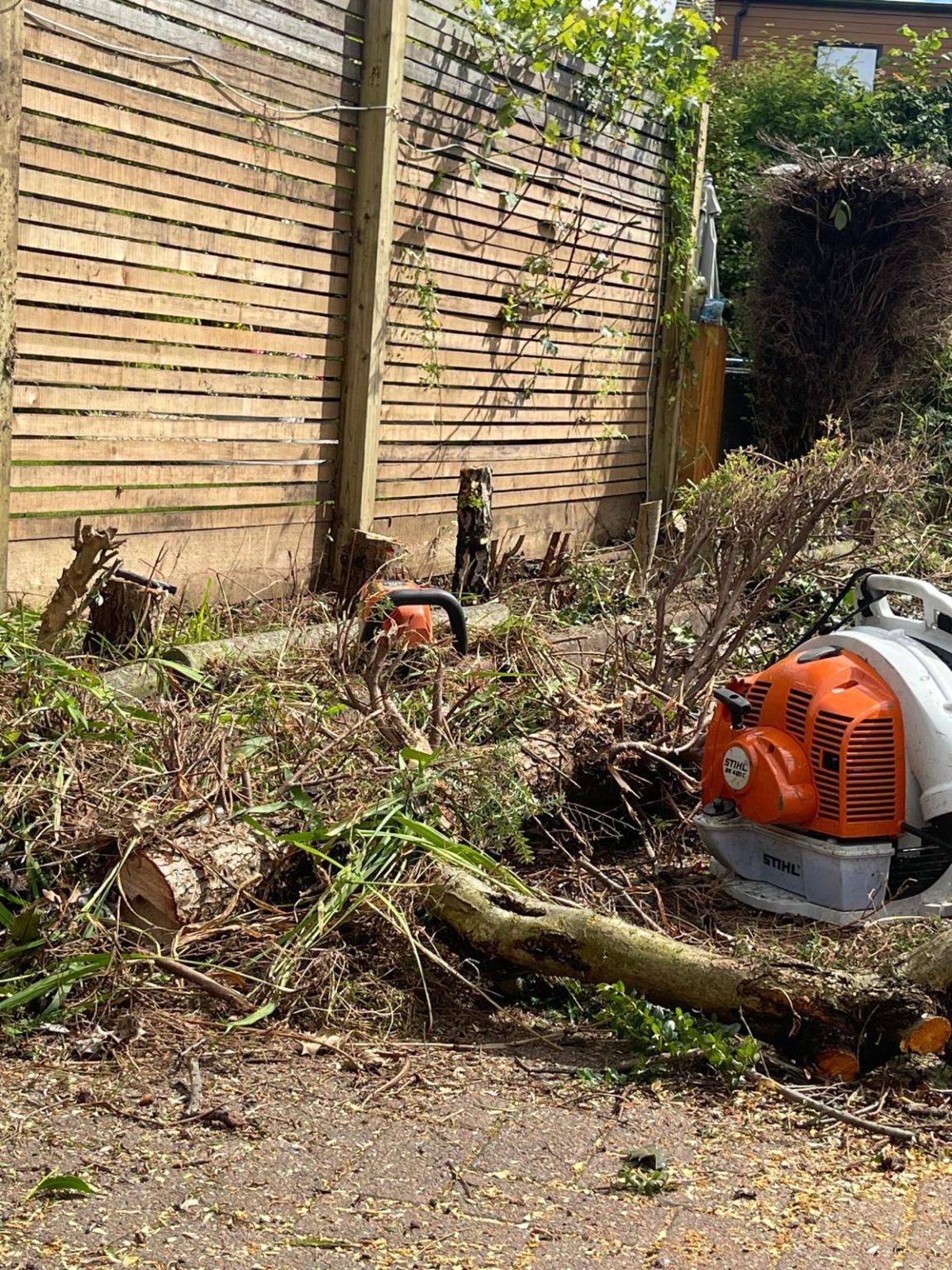 stump grinding Glasgow