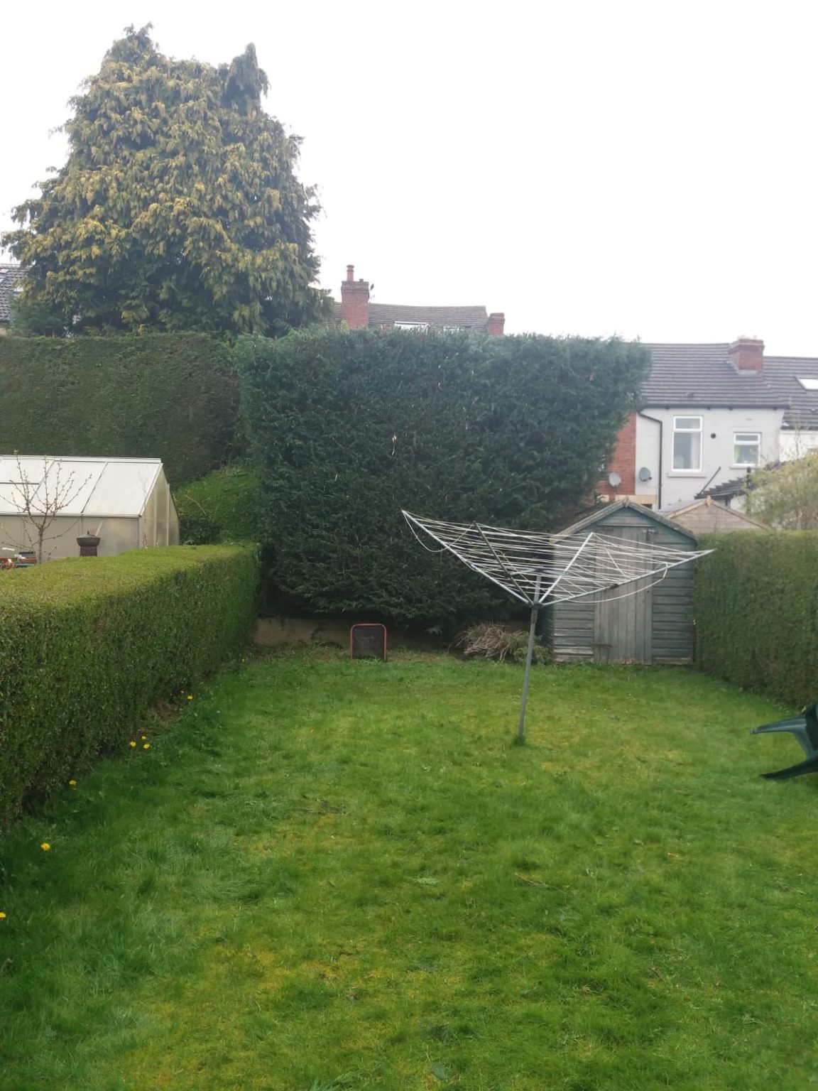 Glasgow hedge cutting